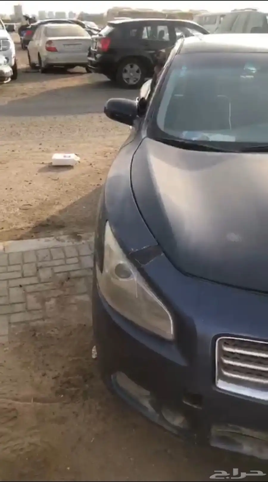 مكسيما 2010 للبيع 0