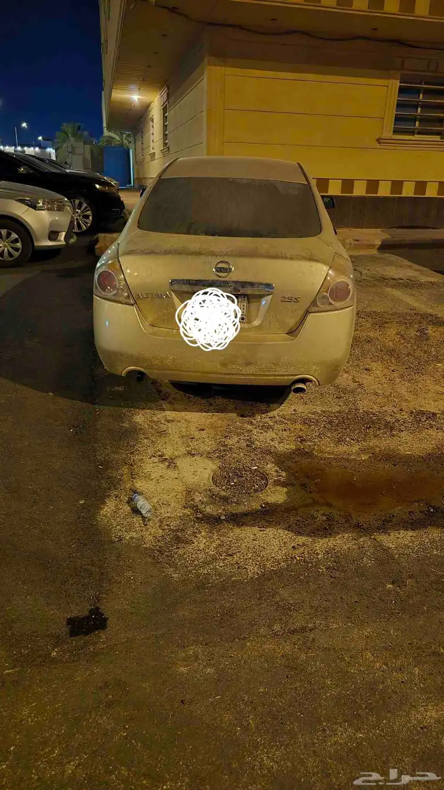 التيما 2010 4