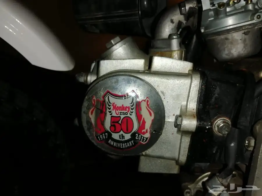 دباب جحش 50 18