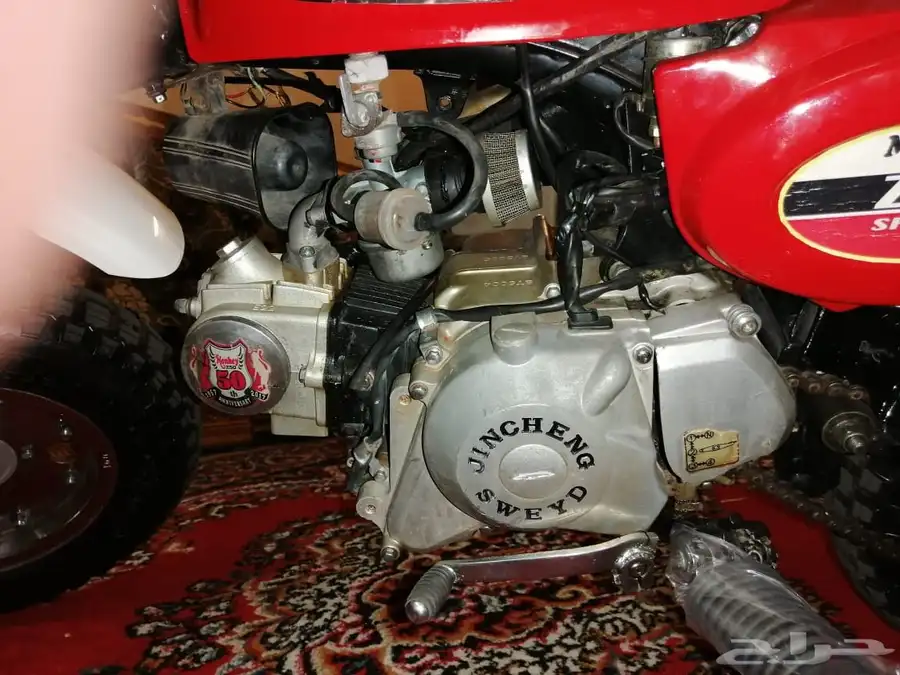 دباب جحش 50 19