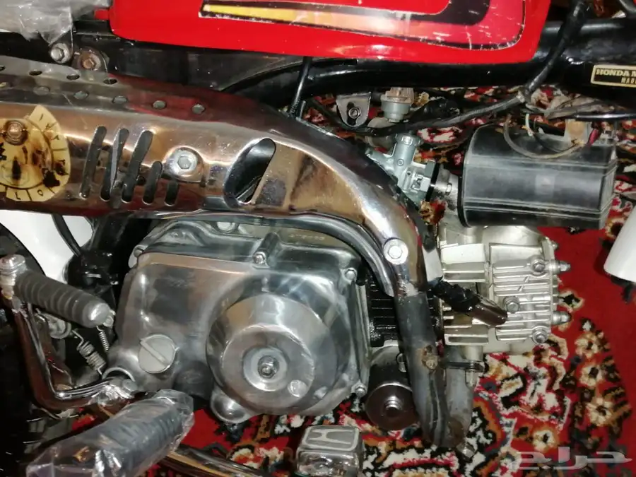 دباب جحش 50 1