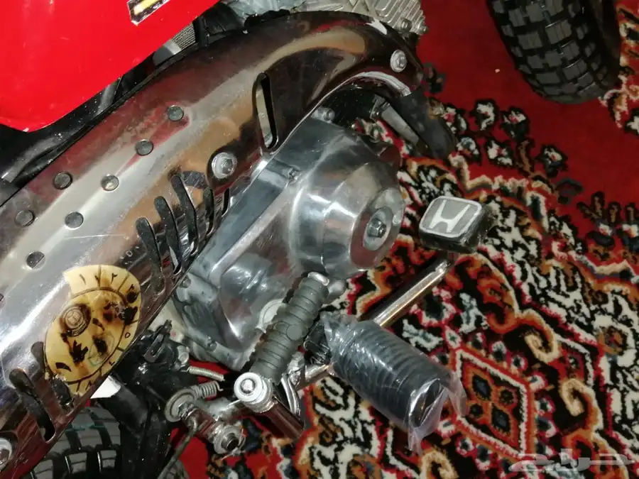 دباب جحش 50 6
