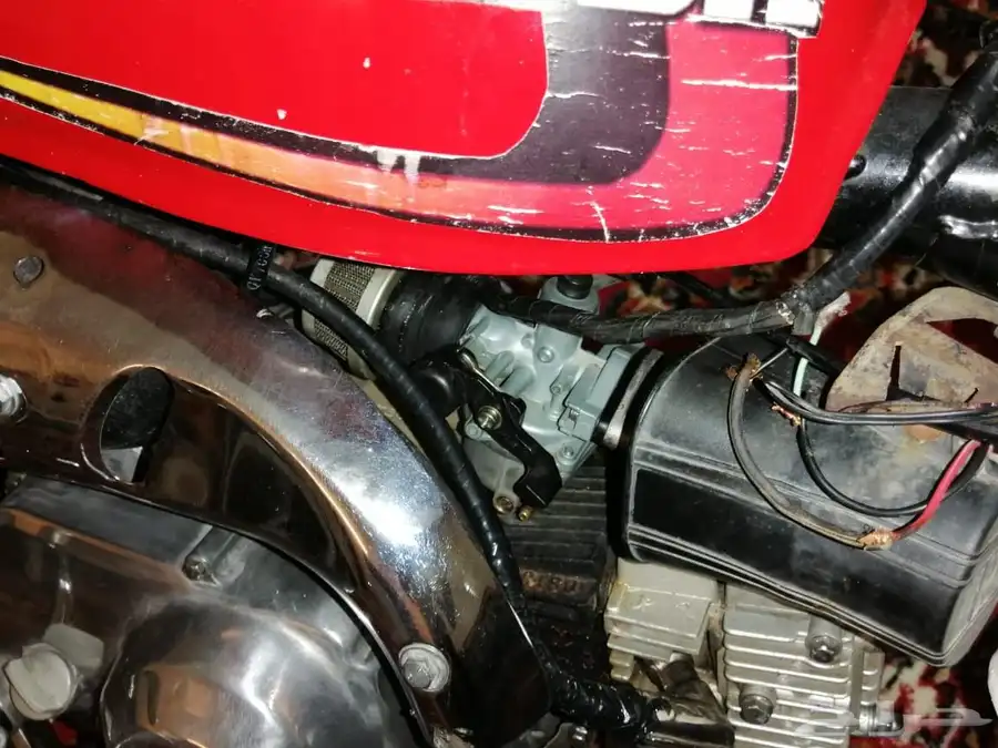 دباب جحش 50 7