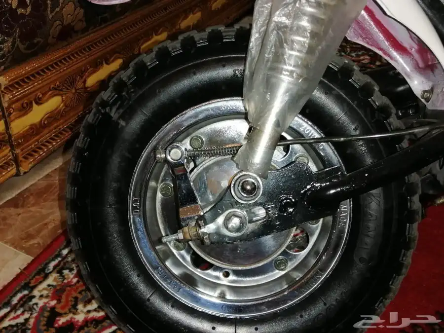 دباب جحش 50 9