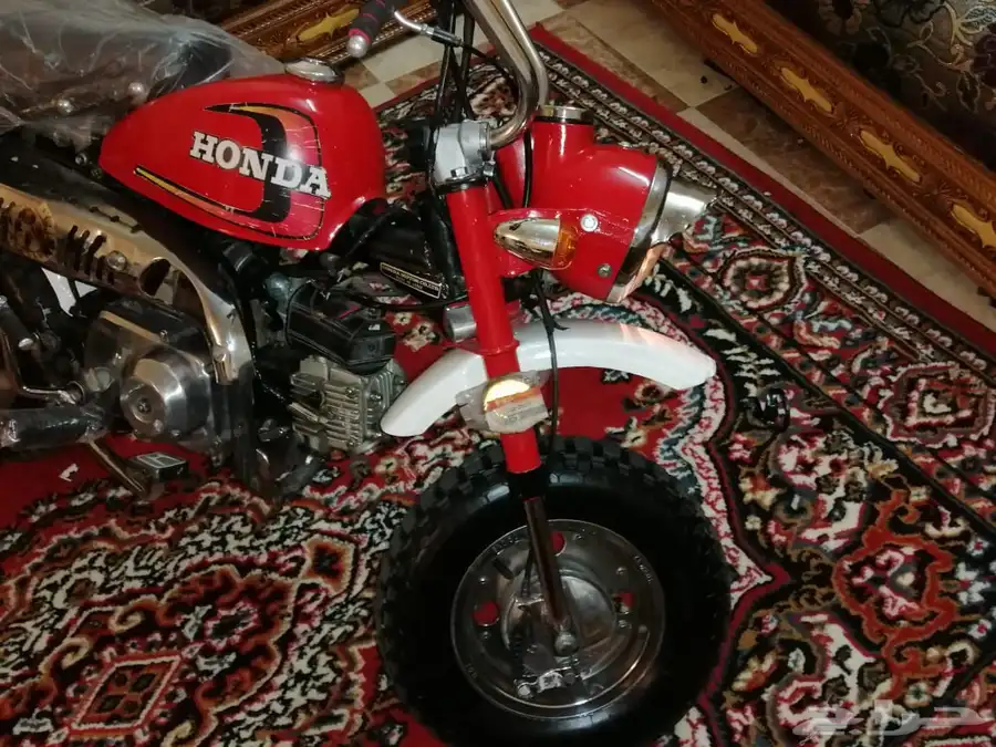 دباب جحش 50 3
