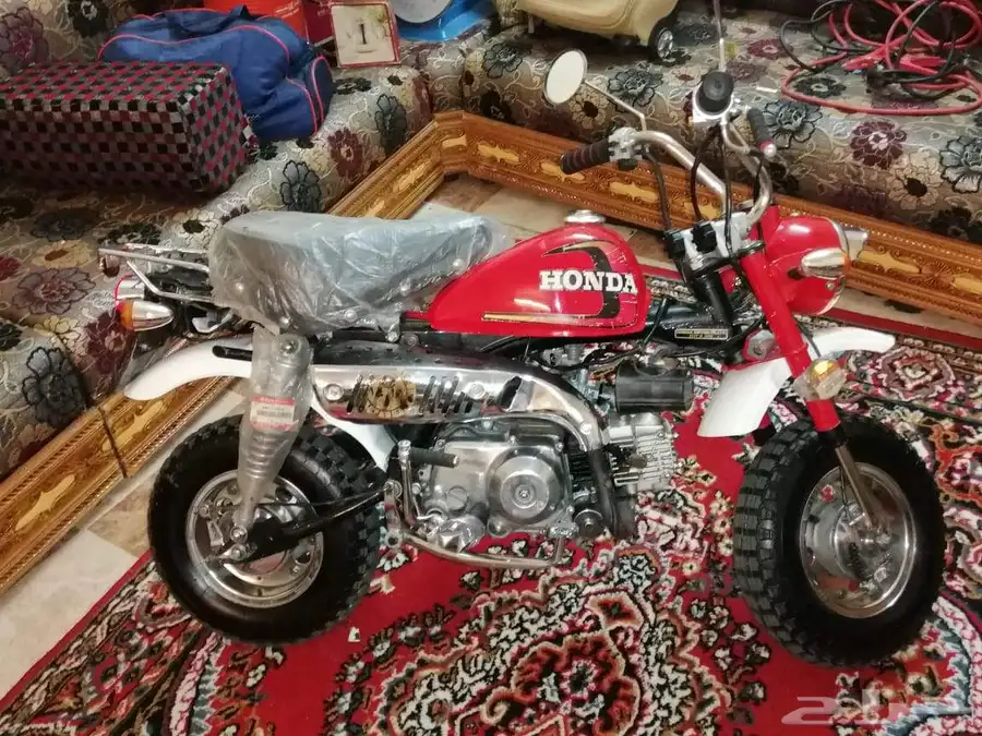 دباب جحش 50 2