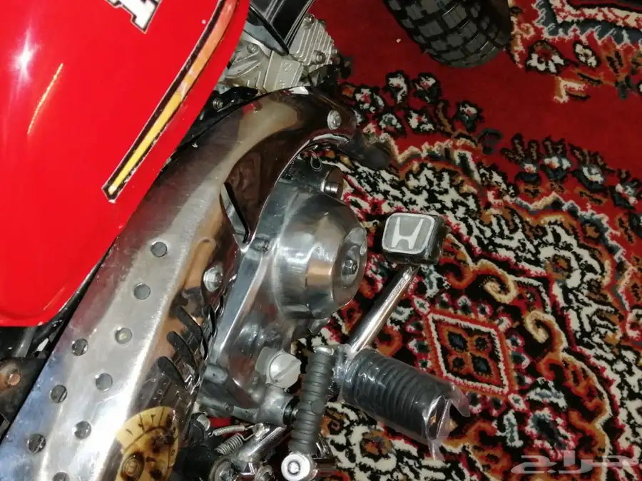 دباب جحش 50 5