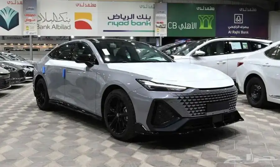 2025 sport uni-v شانجان 0