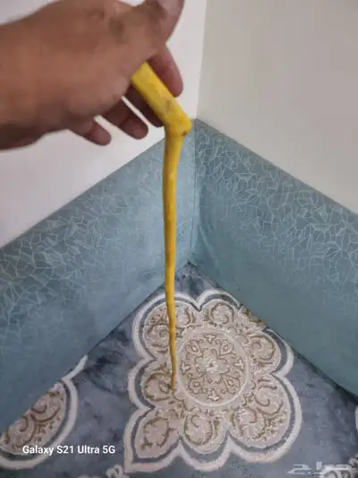 عصا شوحط نحيفه ( تم البيع ) 2