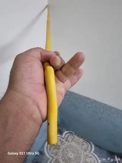 عصا شوحط نحيفه ( تم البيع ) 5