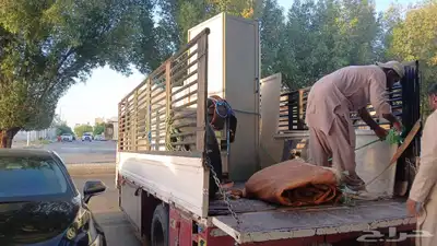 اجار دينا يومي صندوق شبك 0