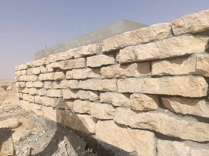 توريد نخيل وتنفيذ أعمال الشبك والسياج 9