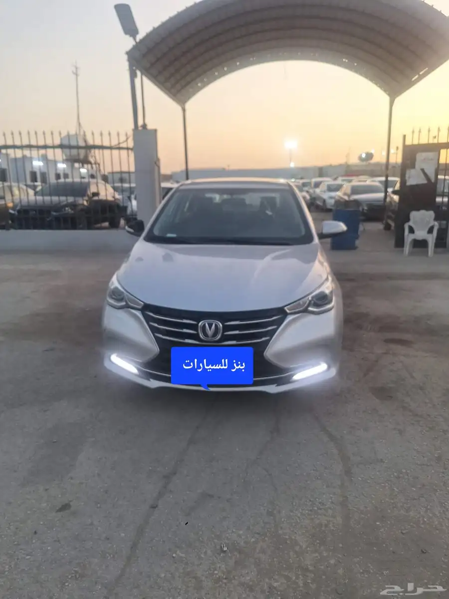 شانجان 7 مصدوم 2022 0