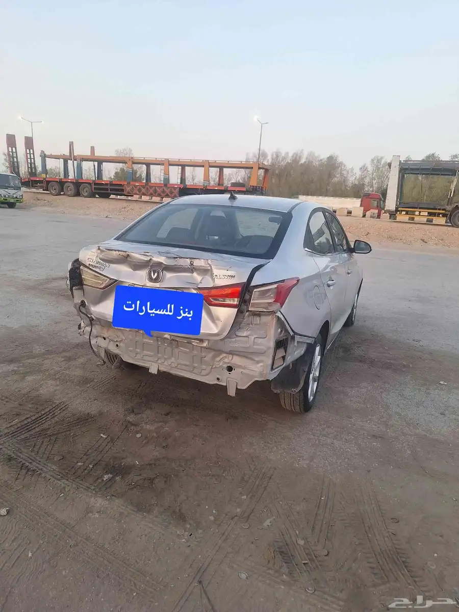 شانجان 7 مصدوم 2022 3