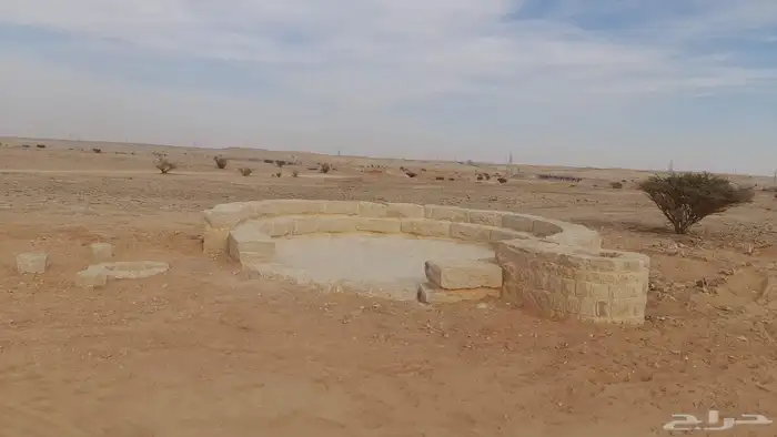 توريد نخيل وتنفيذ أعمال الشبك والسياج 8