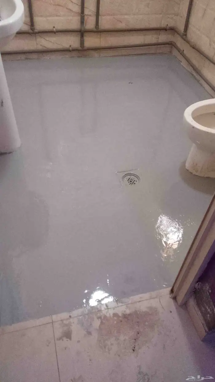 ا  فو سي معجعون 2