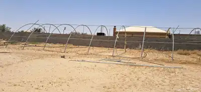 بيت محمي مجلفن 1