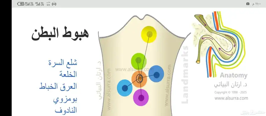 شلعة السرة 2
