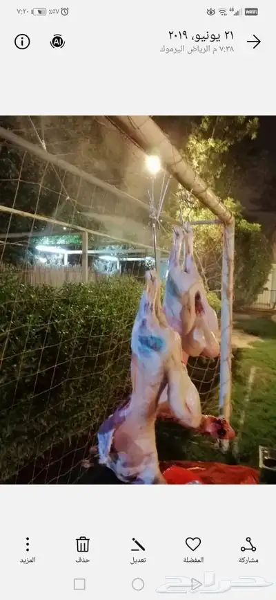 عرض بكج مشويات كباب  أوصال  ريش عرايس  شيش كباب دجاج  مقبلا 3