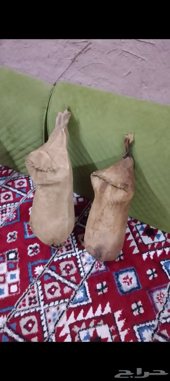 قربا ماء من جلد غنم 2