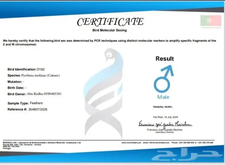 كنيور اناناس دبل رد فاكتور (ذكر منتج)فقط 333ريال (غير اليف ) 10