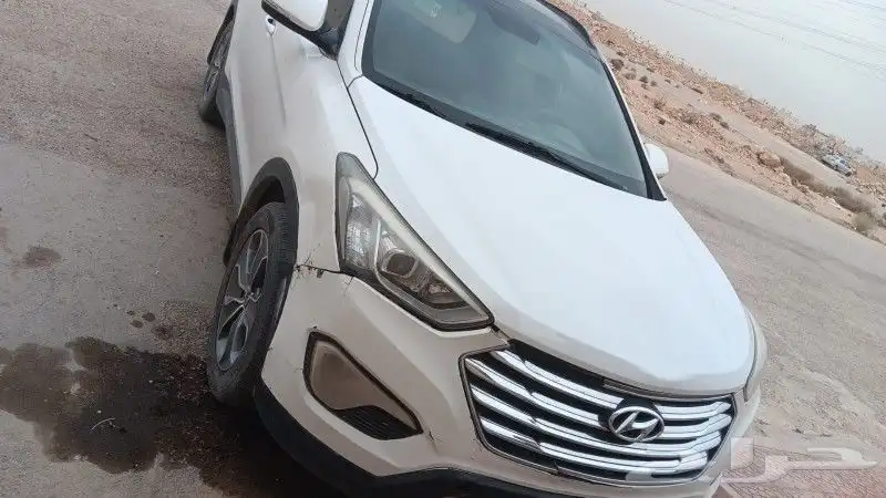 سنتافي 2016 4