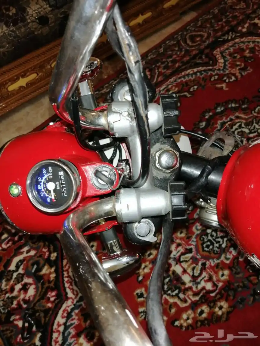 دباب جحش 50 16