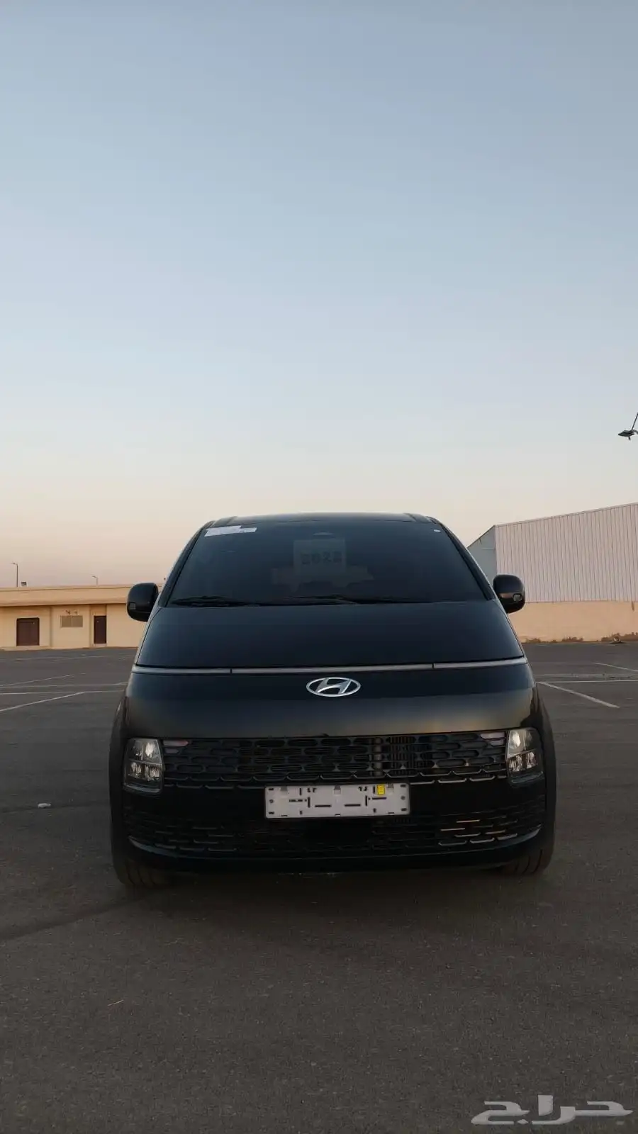 استاريا2022 11