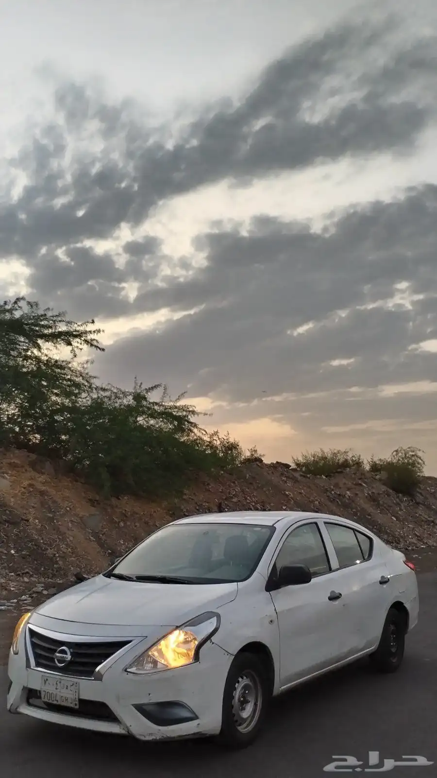 صني 2011 4