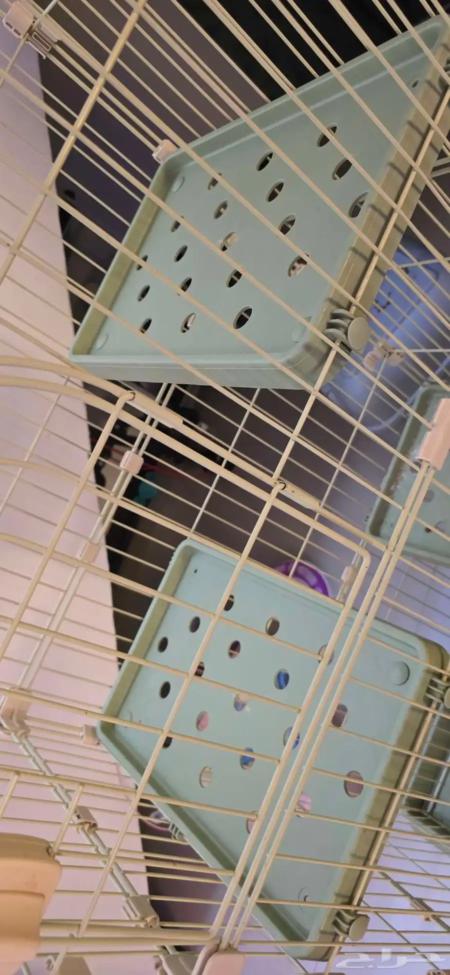 cats cage 1