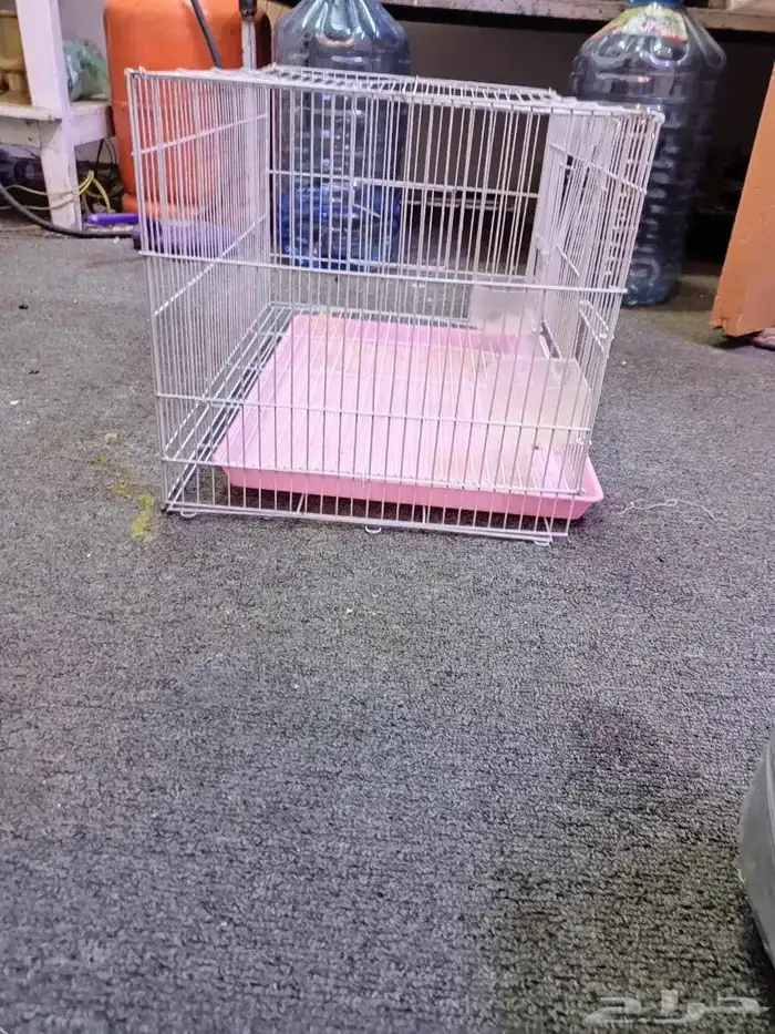 قفص ببغاء كبير نظيف مره 1