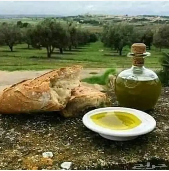 زيت زيتون فلسطيني عالي الجودة بكر بعل فاخر جدا 7