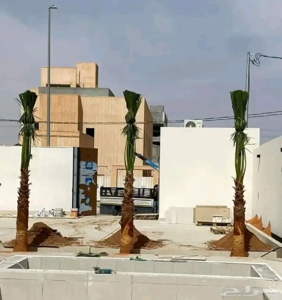 يوجد لدينا جميع انواع الأشجار 3