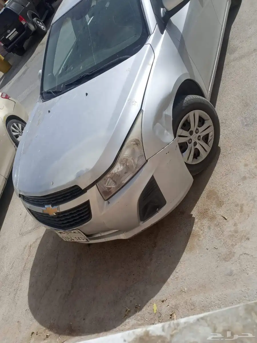 كروز 2015 14