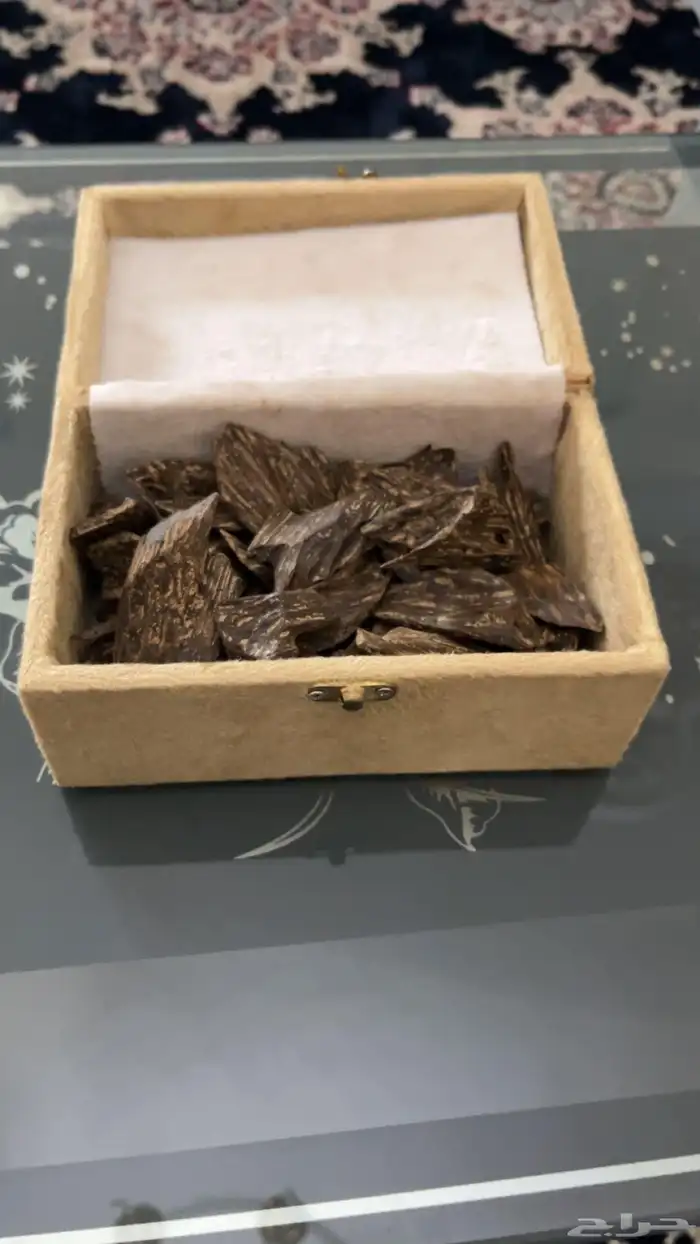 عبدالعزيز للعود يرحب بكم 6