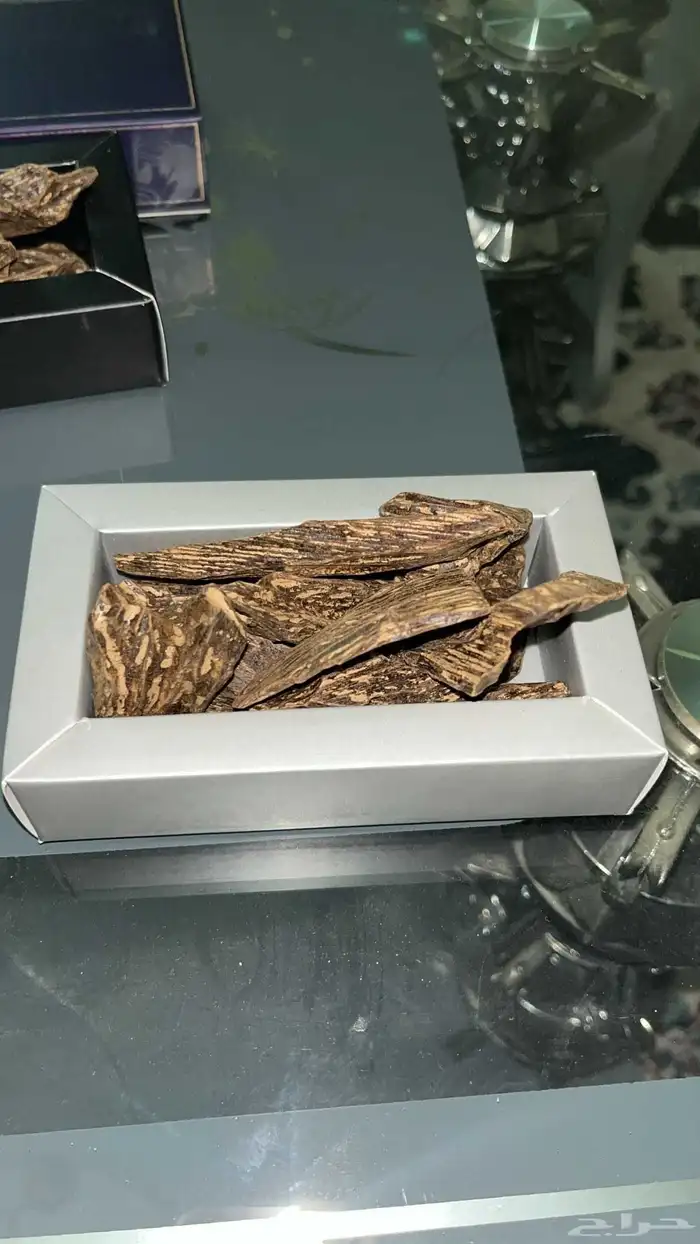 عبدالعزيز للعود يرحب بكم 8