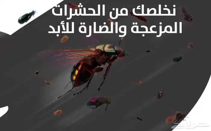 مكافحة حشرات ورش مبيدات ونظافه عامه 17
