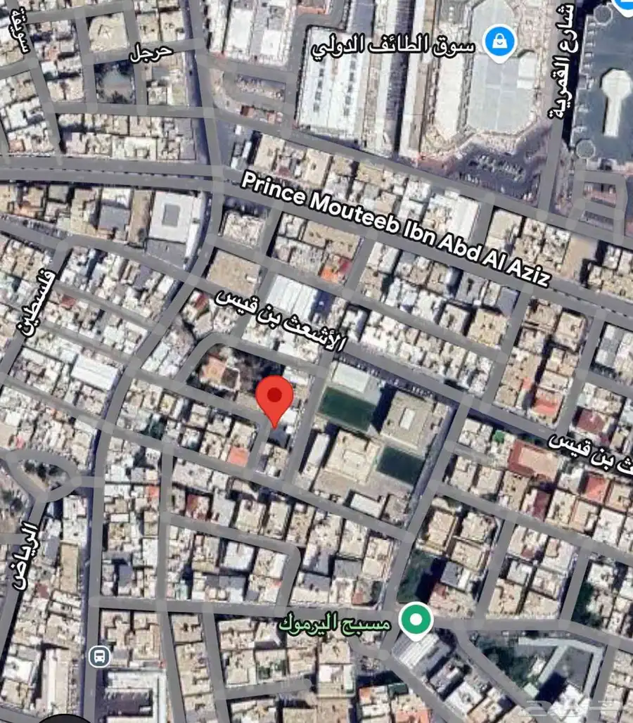 ارض للايحار اواللا ستثمار طويل الا جل 0