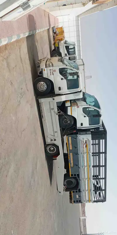 سطحه بيشه 5 9 1 7 7 6 7 5 5 0 8