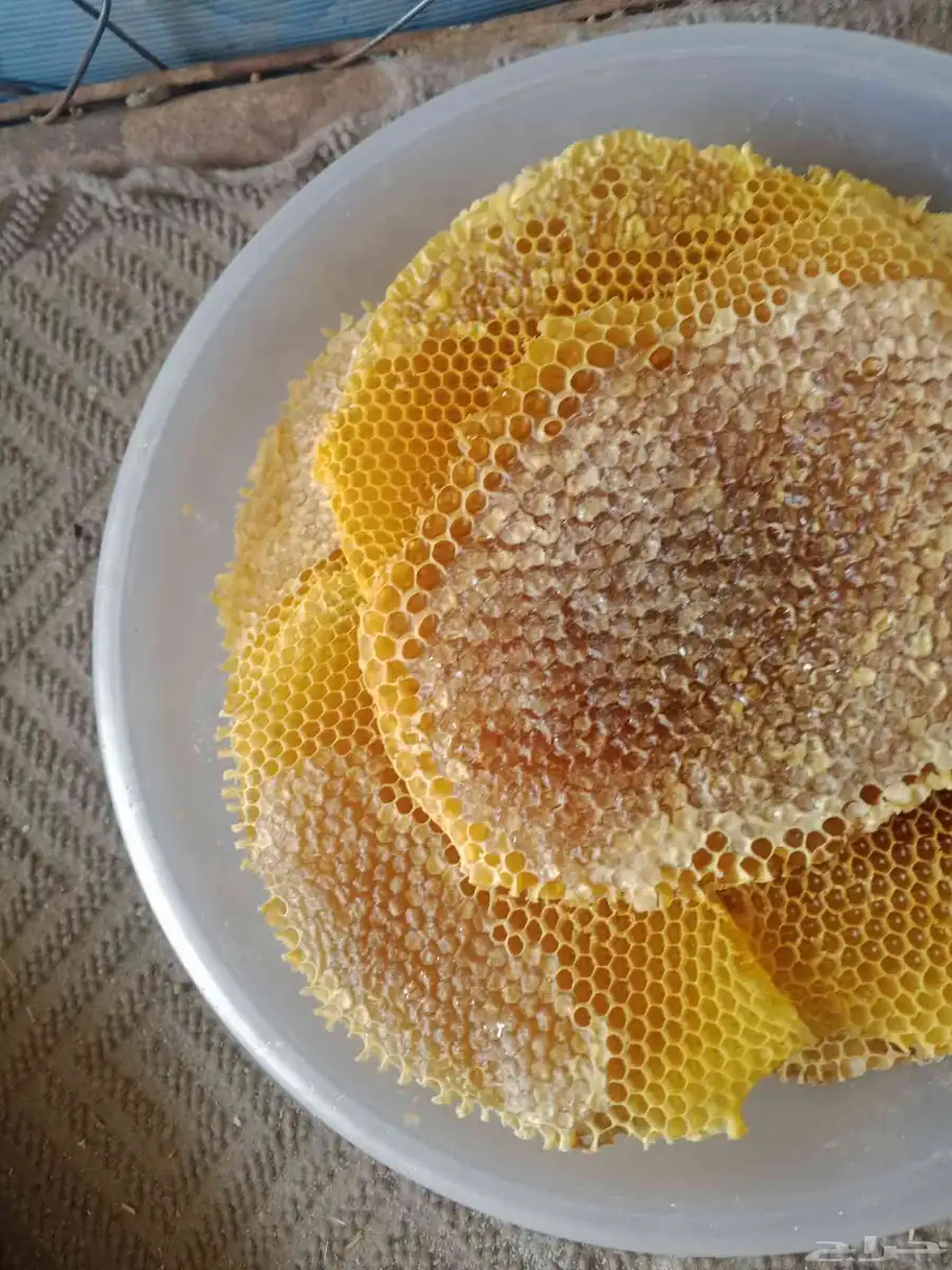 عسل شمع من المناحل إلى الزبائن مباشر 0