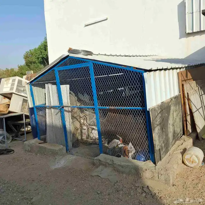 شبك دجاج 3 في 4 للبيع 1
