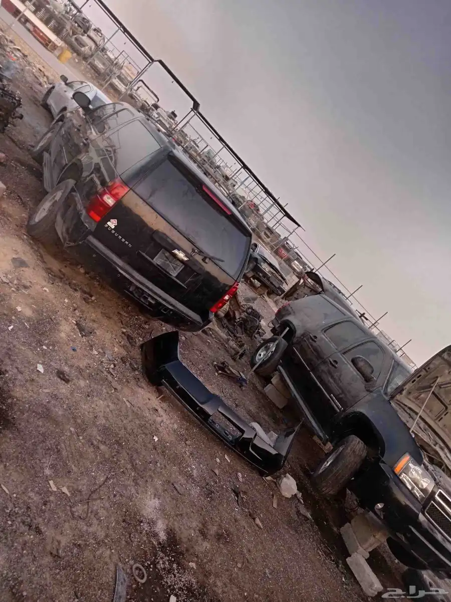 جمس مديل 2009 0