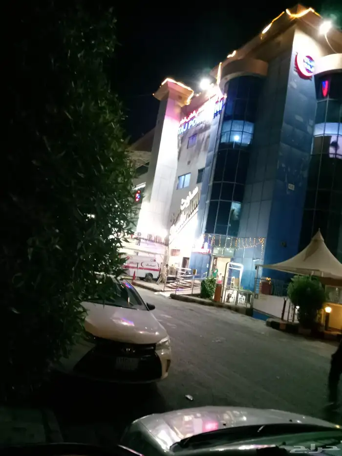 معلم قص شجر ونخل بجده 1