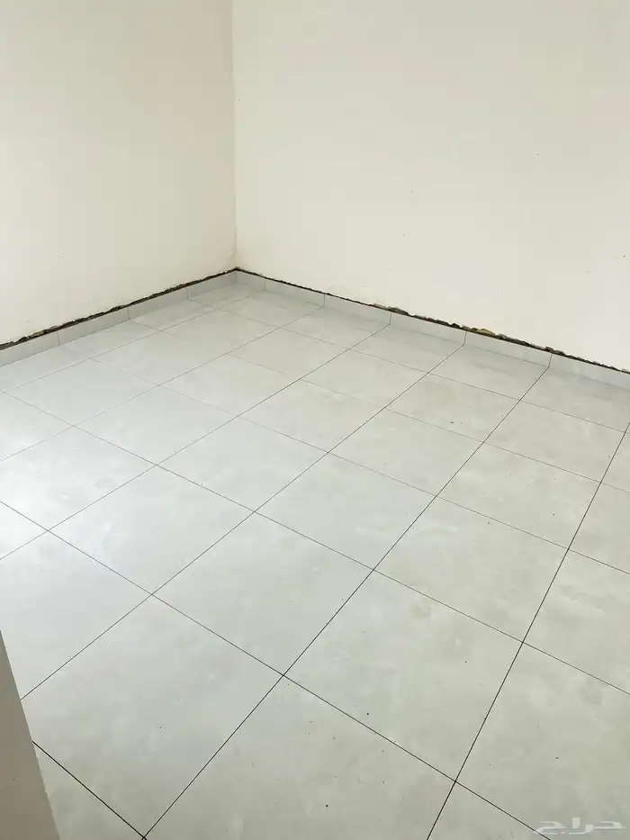 فني بلاط 1