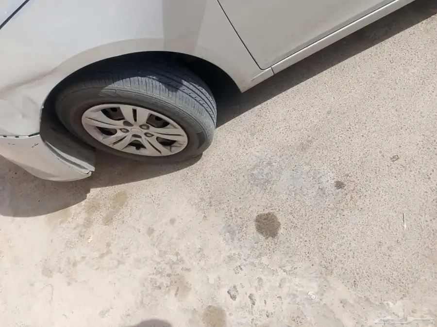 كروز 2015 11