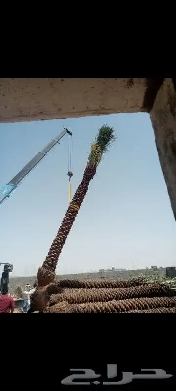 شبوك مزارع شبك ملاعب شبك كسرات 4