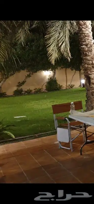 مشتل واشجار 4