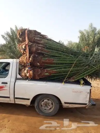 شبوك مزارع شبك ملاعب شبك كسرات 3