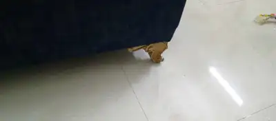 كنب 10 قطع شبه جديد 6
