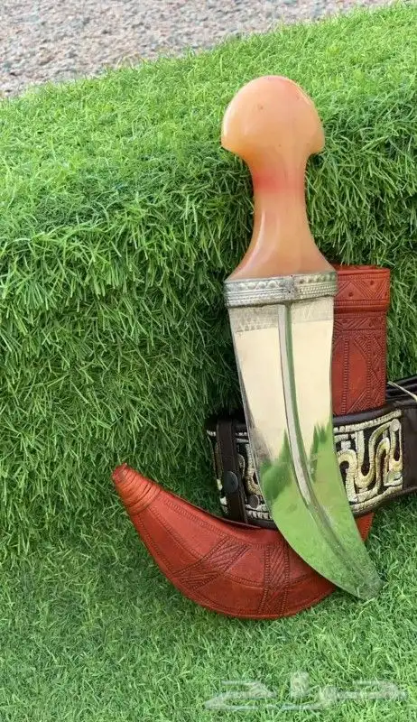 جنبيه 6